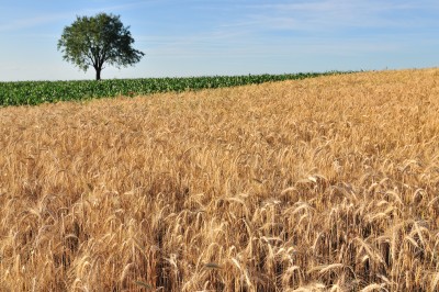 Retraite Madelin Agricole